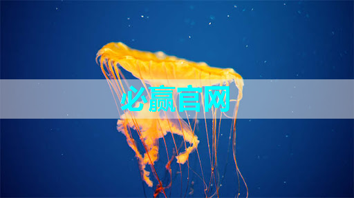 如何选择适合自己的同屏投屏设备?有哪些评估的指标和考虑因素? 如何选择适合自己的同屏投屏设备?有哪些评估的指标和考虑因素?